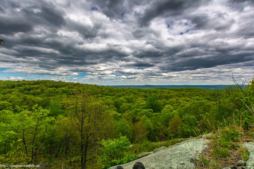 yellow trail view